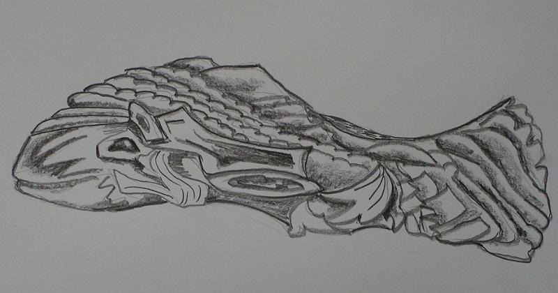 Falks Fisch, 2007, Kohle-Papier, 60x42.jpg